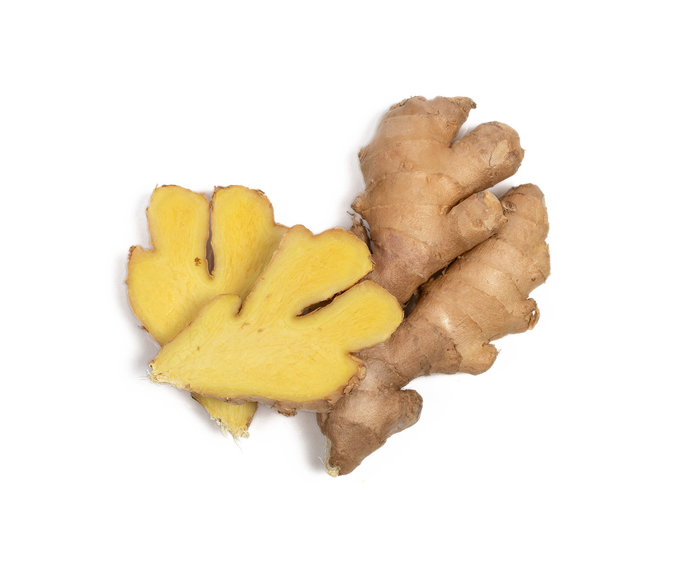 Chaga-Chai-Ingredients-Ginger