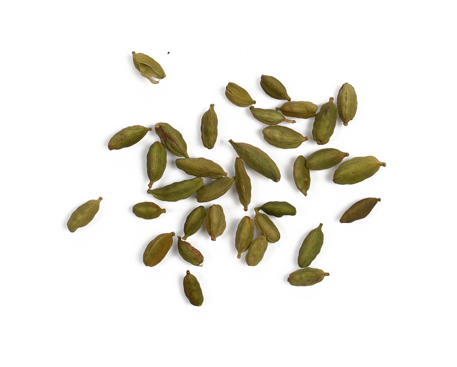 Chaga-Chai-Ingredients-Green-Cardamom