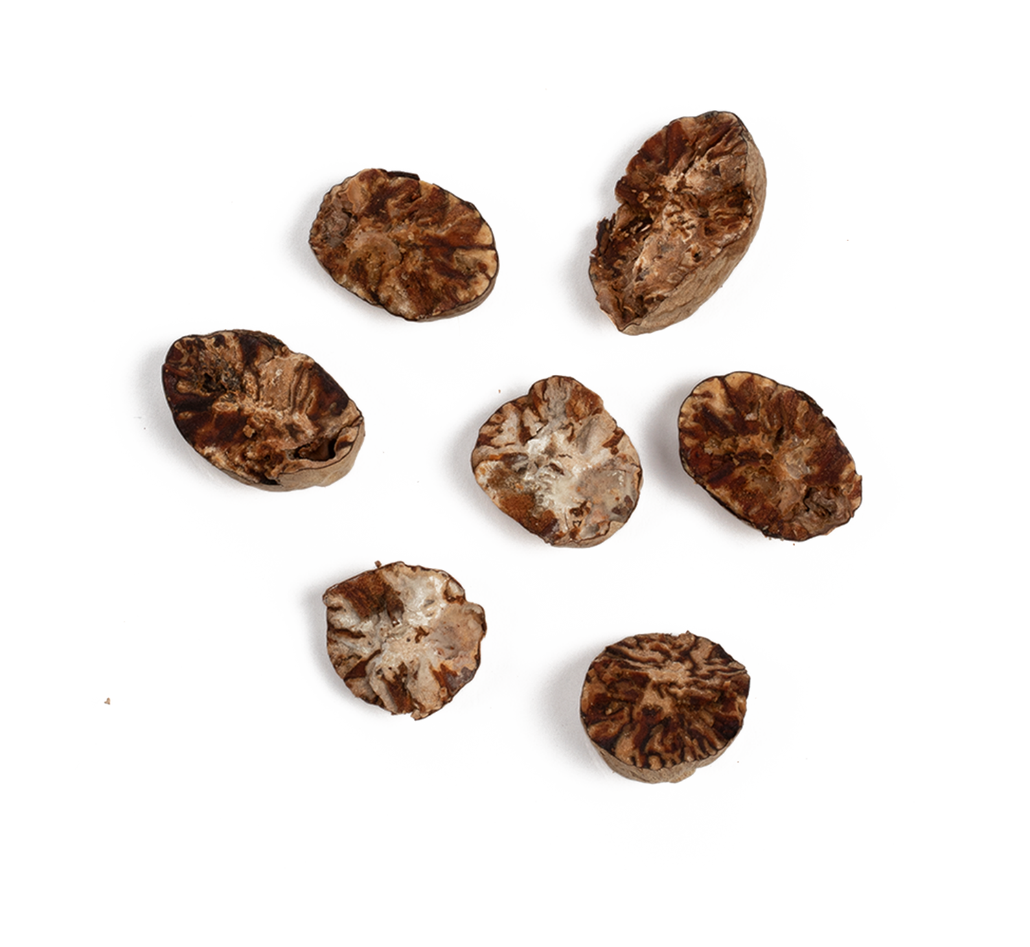 Chaga-Chai-Ingredients-Nutmeg