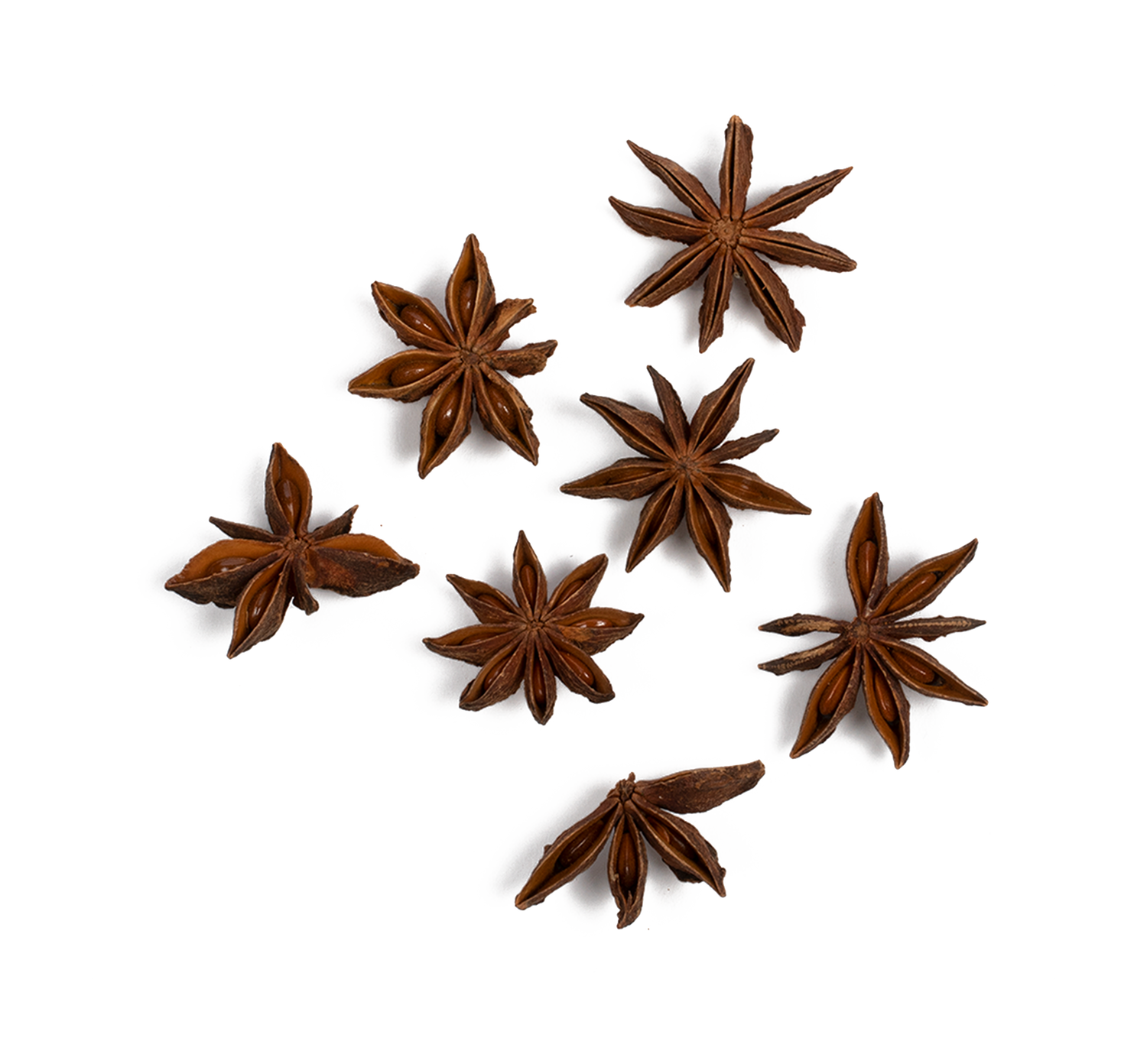 Chaga-Chai-Ingredients-Star-Anise