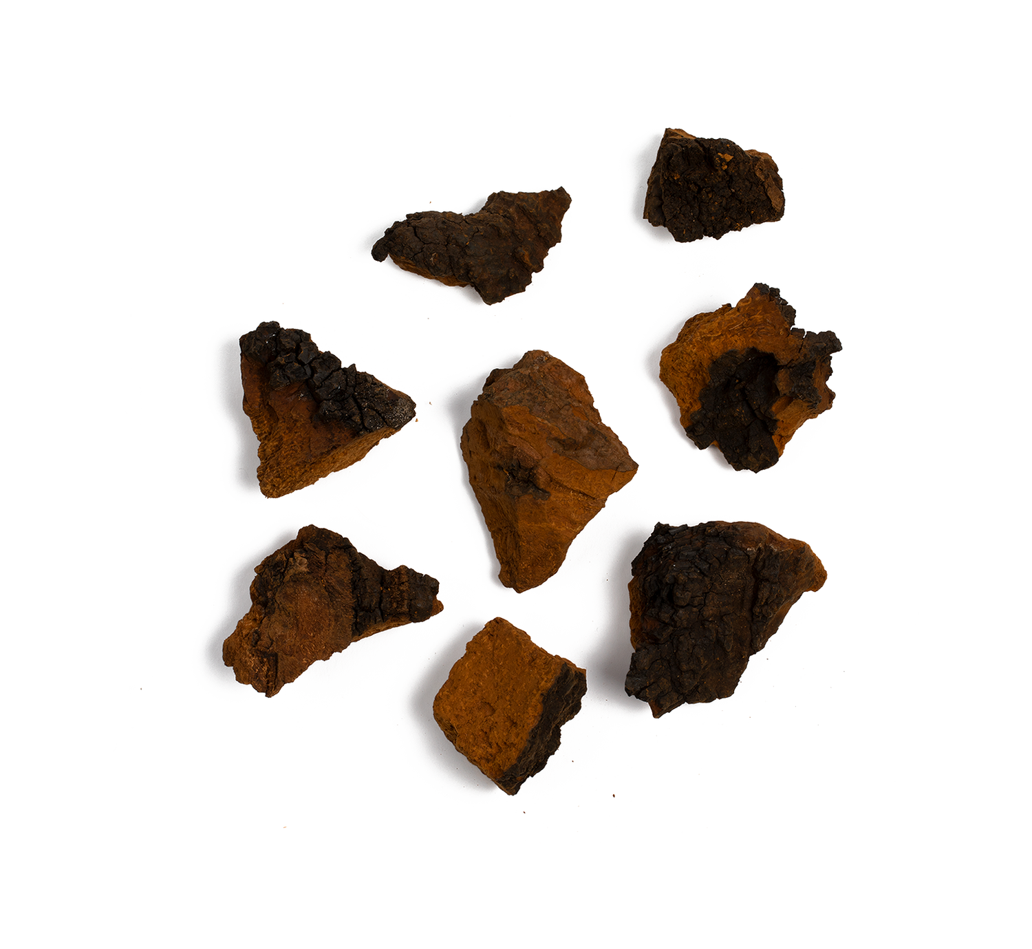 ChagaChai Ingredients Chaga